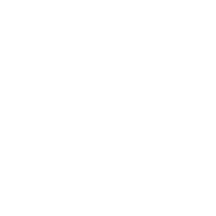 Cookie Icon