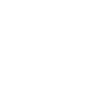 DPO Checkmark Icon